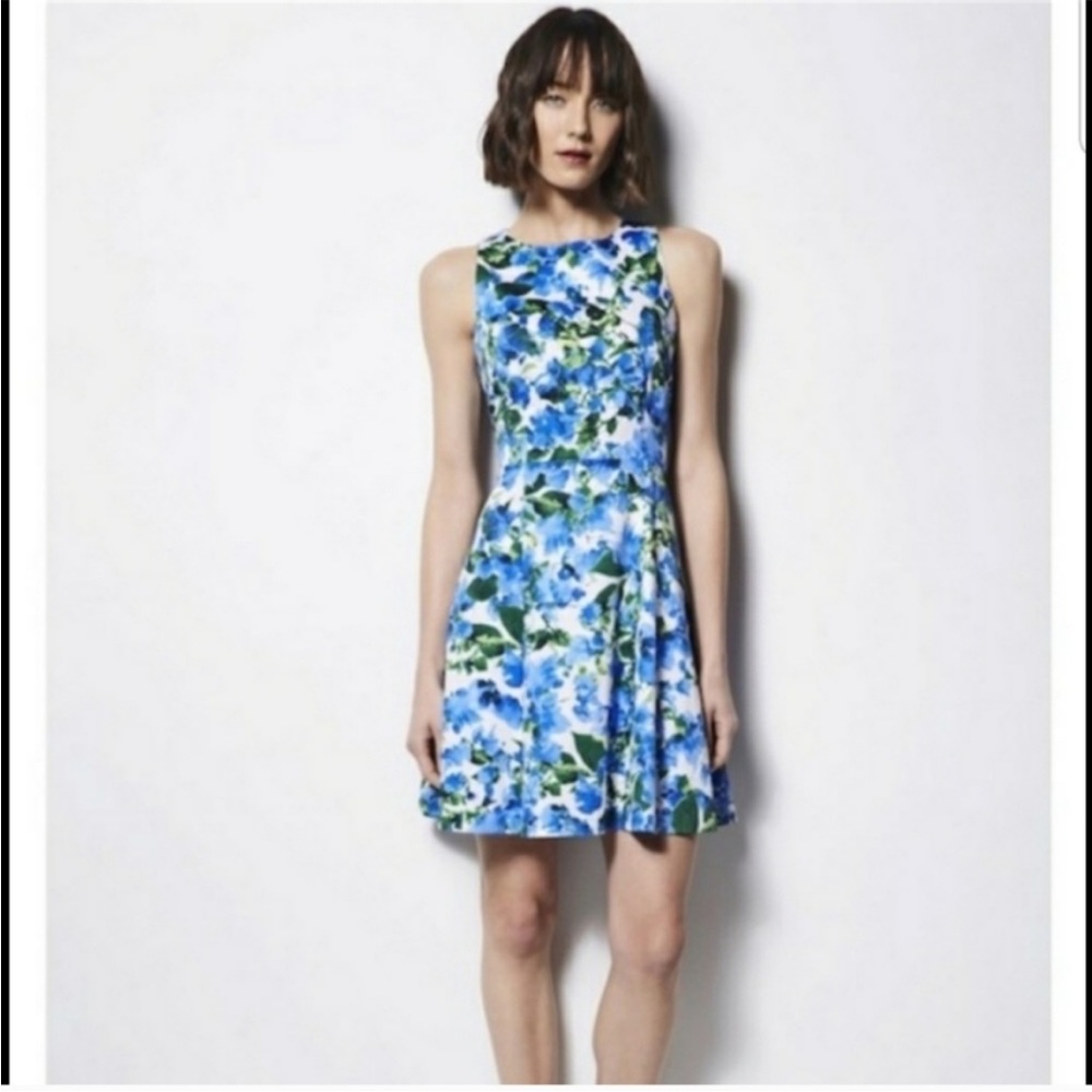 LIKE NEW! MILLY Fit and Flare Blue Floral Skater Dress!